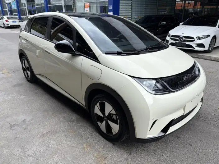 BYD Dolphin 2023 Model Fashion Edition – фото 3
