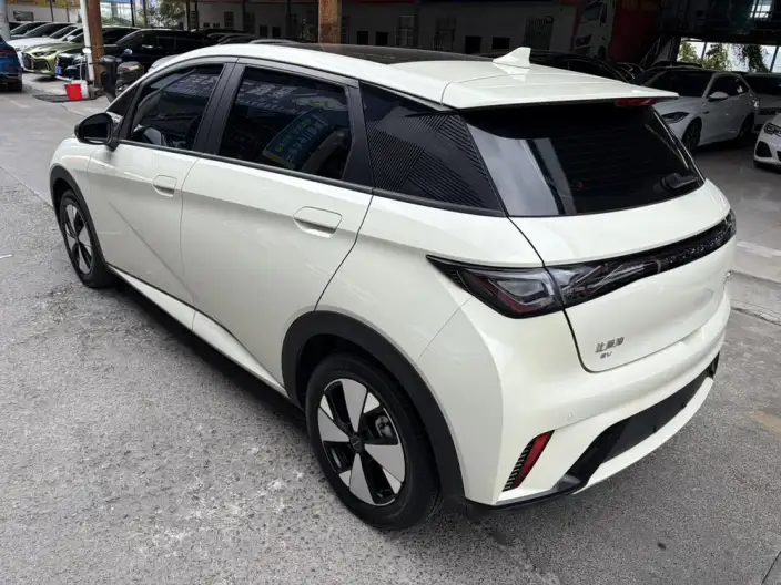 BYD Dolphin 2023 Model Fashion Edition – фото 4