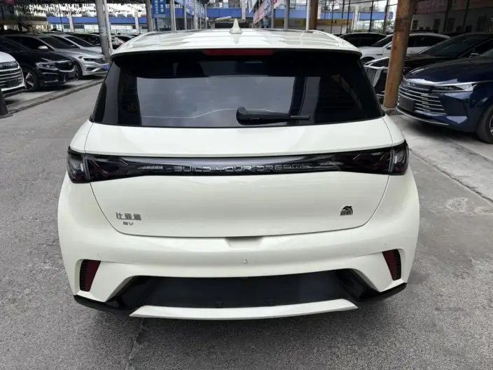 BYD Dolphin 2023 Model Fashion Edition – фото 5