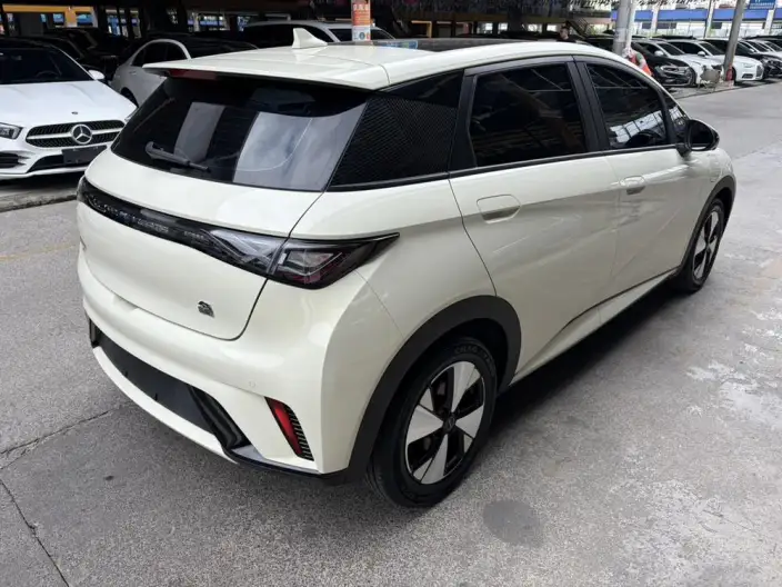 BYD Dolphin 2023 Model Fashion Edition – фото 6