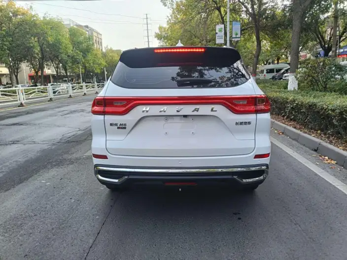Haval M6 2021 Model PLUS 1.5T Manual Luxury Smart Connect Model – фото 5
