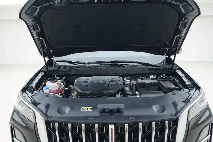 Hongqi HS5 2023 Model 2.0T Flag Xiang Pro Edition – фото 6
