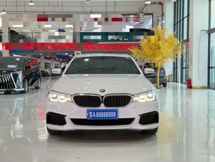 BMW 5 Series 2020 Model 530Li xDrive M Sports Set – фото 2