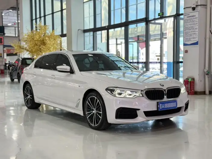 BMW 5 Series 2020 Model 530Li xDrive M Sports Set – фото 3