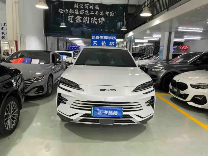 BYD Song PLUS DM 2024 Model DM-i Honor Edition 110KM Flagship Model – фото 2