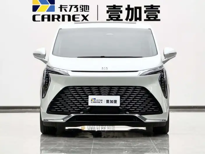 Century 2023 Model 2.0T VII seat Yunshi Edition