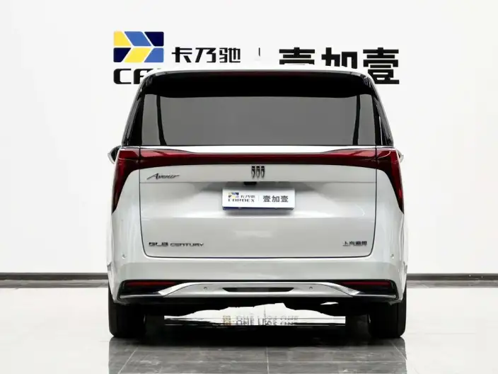Century 2023 Model 2.0T VII seat Yunshi Edition