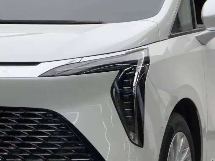 Century 2023 Model 2.0T VII seat Yunshi Edition