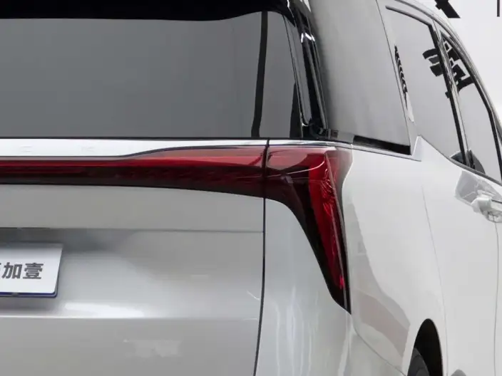 Century 2023 Model 2.0T VII seat Yunshi Edition – фото 5