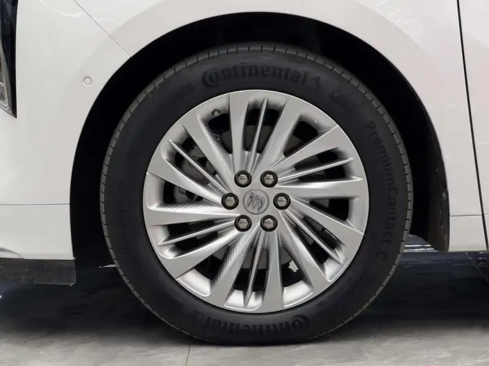 Century 2023 Model 2.0T VII seat Yunshi Edition – фото 7