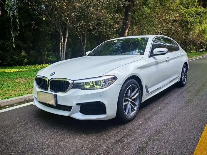 BMW 5 Series 2020 Model 525Li M Sports Set – фото 1