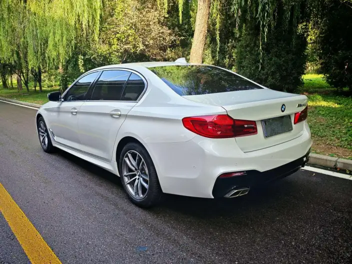 BMW 5 Series 2020 Model 525Li M Sports Set – фото 4