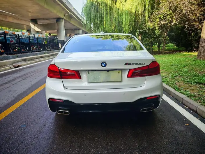 BMW 5 Series 2020 Model 525Li M Sports Set – фото 5