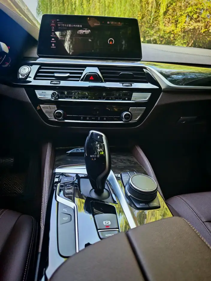 BMW 5 Series 2020 Model 525Li M Sports Set – фото 9