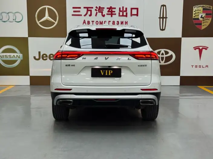 Haval H6 2023 Model Guo Trendy Edition 1.5T Automatic Champion Edition – фото 5