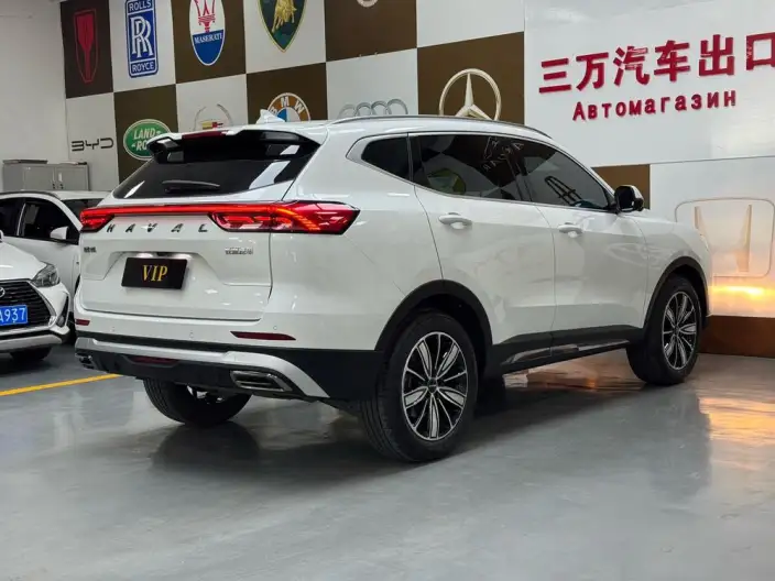 Haval H6 2023 Model Guo Trendy Edition 1.5T Automatic Champion Edition – фото 6