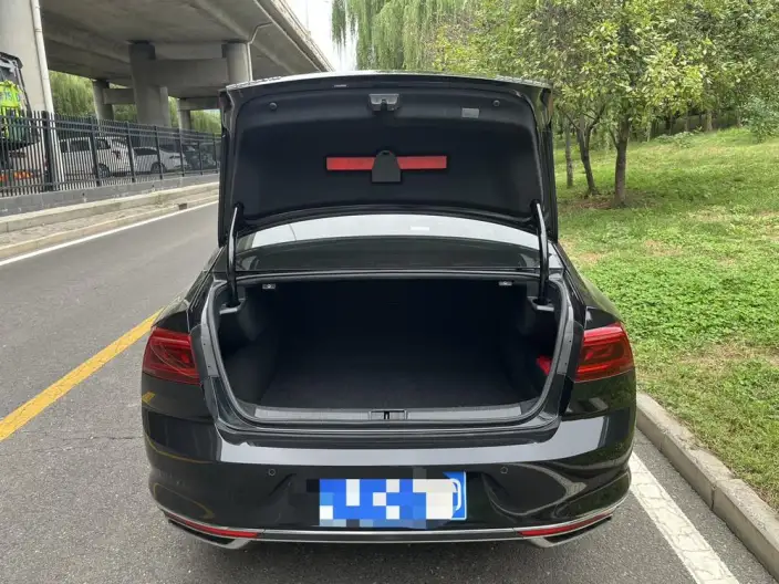 Volkswagen Magotan 2020 Model 330TSI DSG Leading Model – фото 7