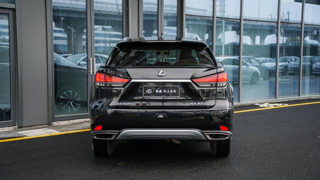 Lexus RX 2020 Facelift 300 2WD Elite – фото 6
