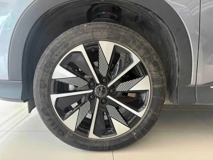 BYD Song PLUS DM 2025 Model DM-i 112KM Noble Model – фото 9