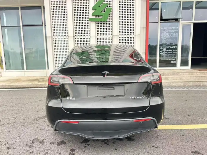 Model Y 2024 Model Rear-wheel drive version – фото 6