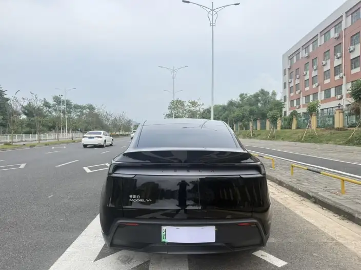 Model Y 2025 Model Rear-wheel drive version – фото 5