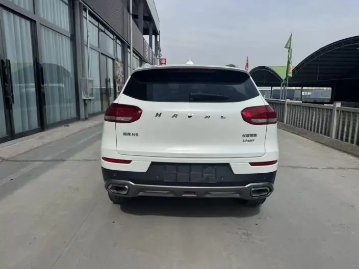 Haval H6 2020 Model 2.0GDIT Automatic Platinum Champion Edition – фото 5