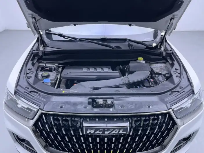 Haval H6 2023 Model Guo Trendy Edition 1.5T Automatic Champion Edition – фото 10