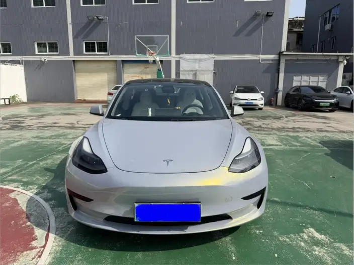 Model 3 2021 Model Standard Battery Life Rear Drive L Class Edition