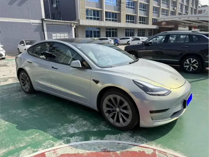 Model 3 2021 Model Standard Battery Life Rear Drive L Class Edition