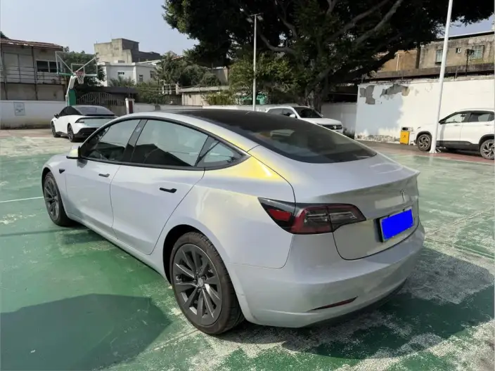 Model 3 2021 Model Standard Battery Life Rear Drive L Class Edition