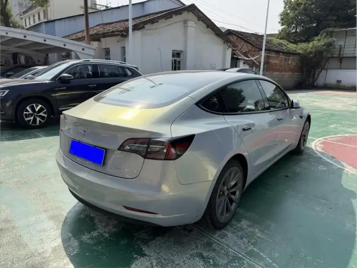 Model 3 2021 Model Standard Battery Life Rear Drive L Class Edition – фото 5