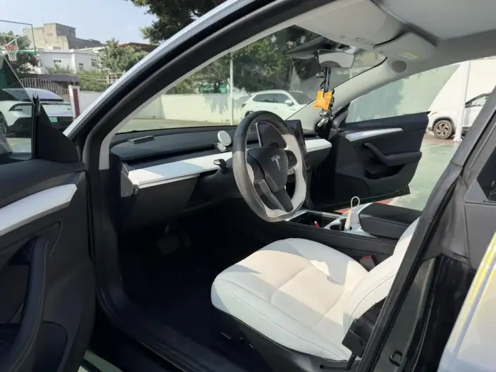 Model 3 2021 Model Standard Battery Life Rear Drive L Class Edition – фото 8