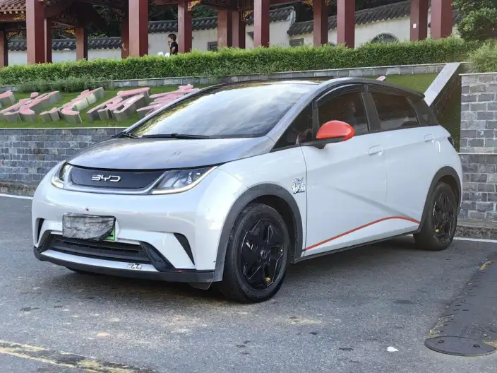 BYD Dolphin 2021 Model Fashion Edition