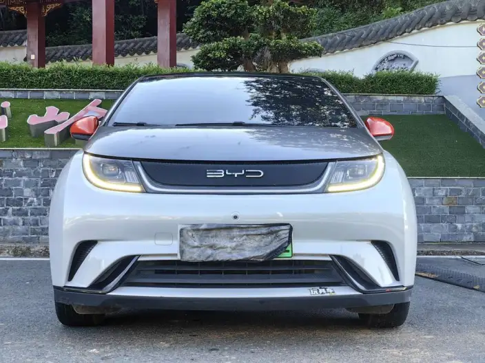 BYD Dolphin 2021 Model Fashion Edition