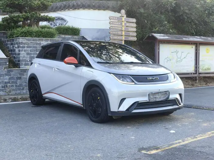 BYD Dolphin 2021 Model Fashion Edition