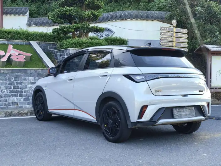 BYD Dolphin 2021 Model Fashion Edition