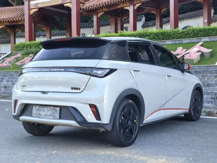 BYD Dolphin 2021 Model Fashion Edition – фото 6
