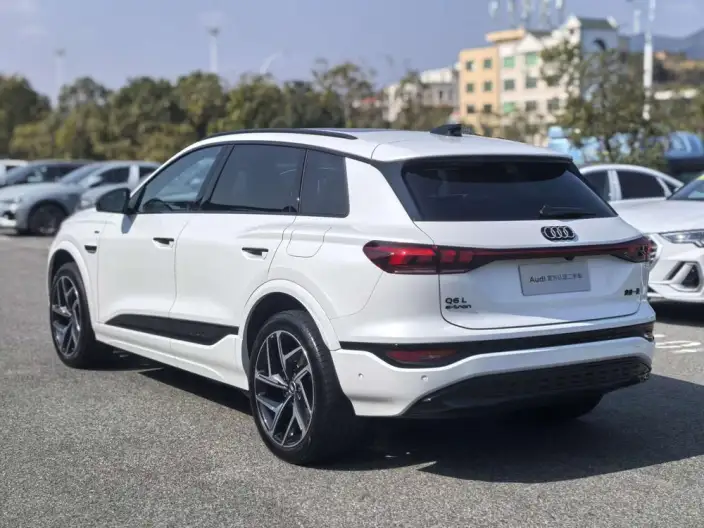 AUDI Q6L e-tron 2026 Model First Edition Pilot Edition – фото 5