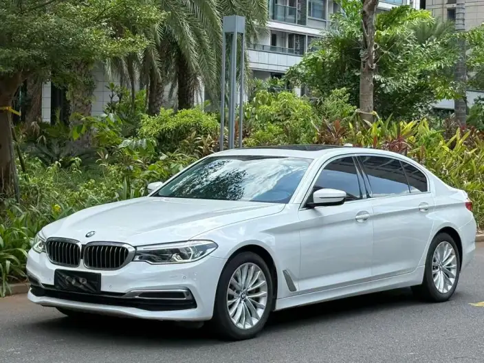 BMW 5 Series 2020 Model 530Li Leading Model Luxury Set – фото 1