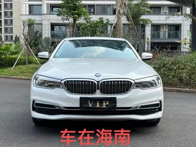 BMW 5 Series 2020 Model 530Li Leading Model Luxury Set – фото 2