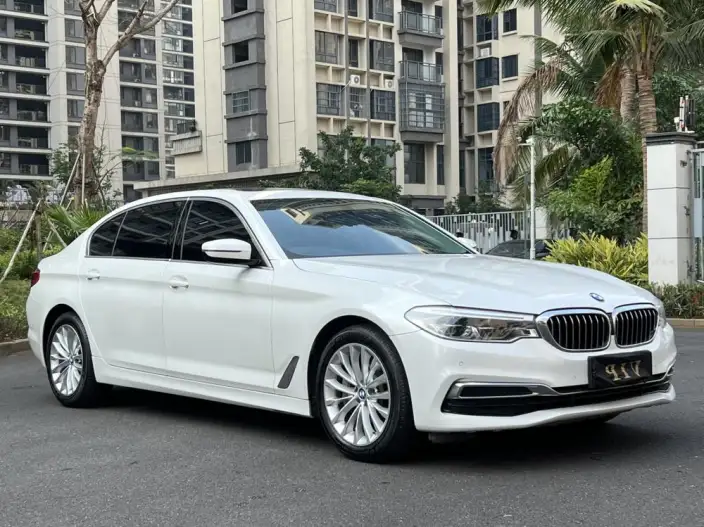 BMW 5 Series 2020 Model 530Li Leading Model Luxury Set – фото 3