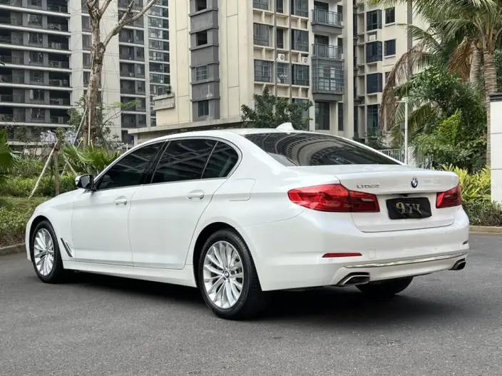 BMW 5 Series 2020 Model 530Li Leading Model Luxury Set – фото 4