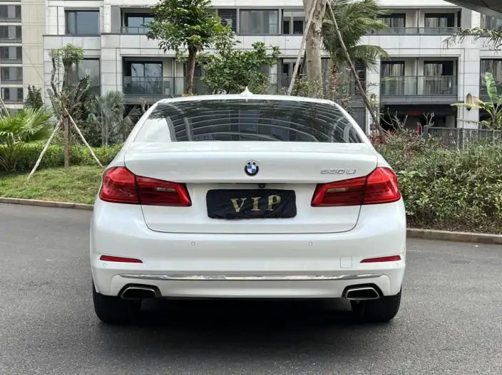 BMW 5 Series 2020 Model 530Li Leading Model Luxury Set – фото 5