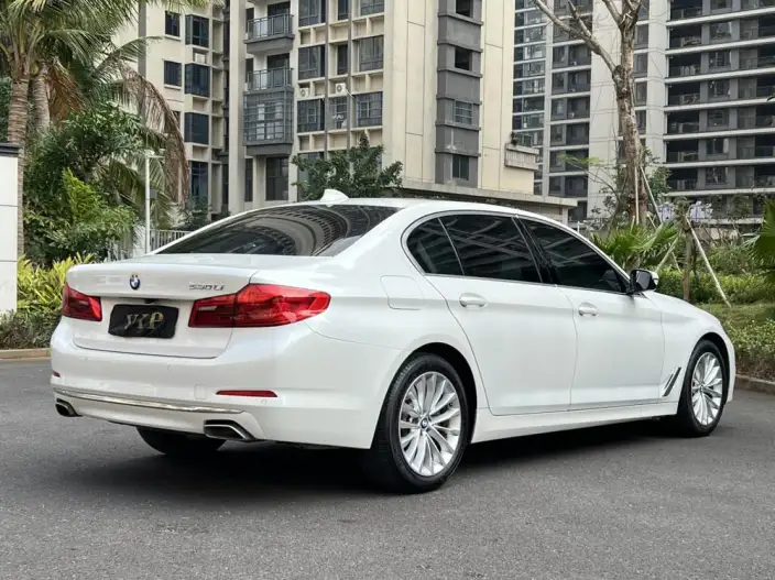 BMW 5 Series 2020 Model 530Li Leading Model Luxury Set – фото 6