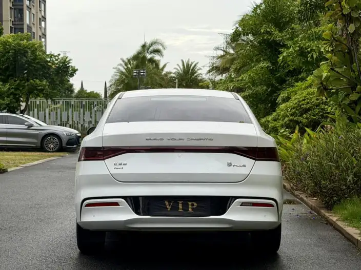 BYD Qin PLUS DM 2021 Model DM-i 55KM Flagship Model – фото 5