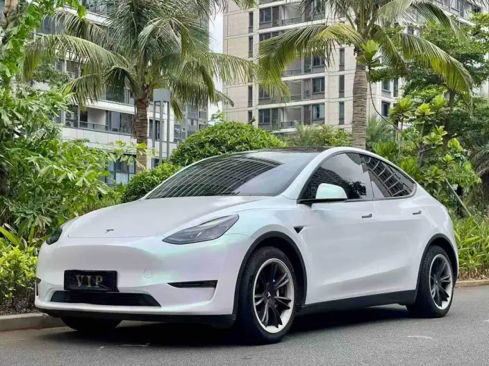 Model Y 2021 Model Standard Battery Life Rear-wheel drive version