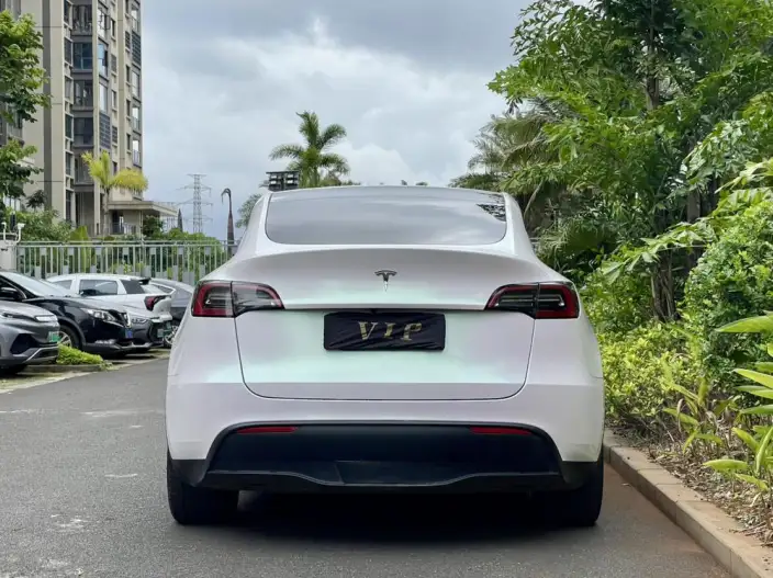 Model Y 2021 Model Standard Battery Life Rear-wheel drive version – фото 5
