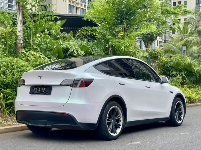 Model Y 2021 Model Standard Battery Life Rear-wheel drive version – фото 6
