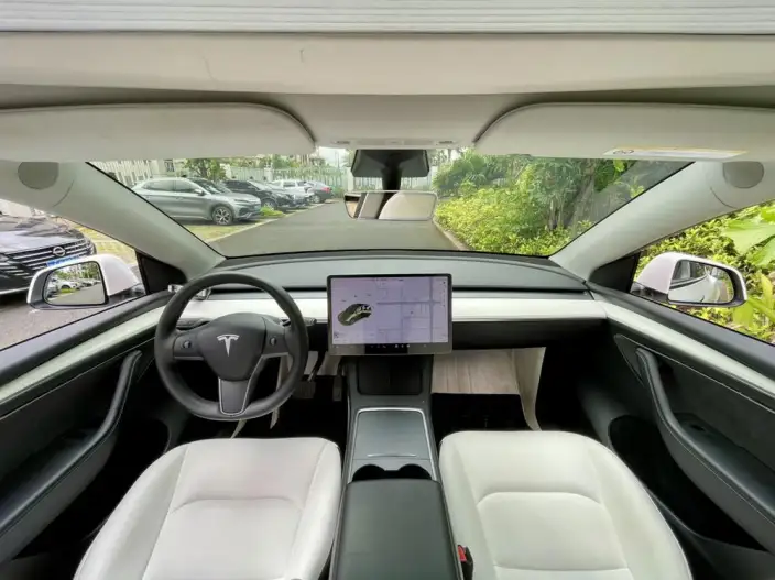 Model Y 2021 Model Standard Battery Life Rear-wheel drive version – фото 7