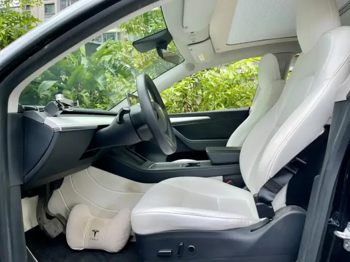 Model Y 2021 Model Standard Battery Life Rear-wheel drive version – фото 8